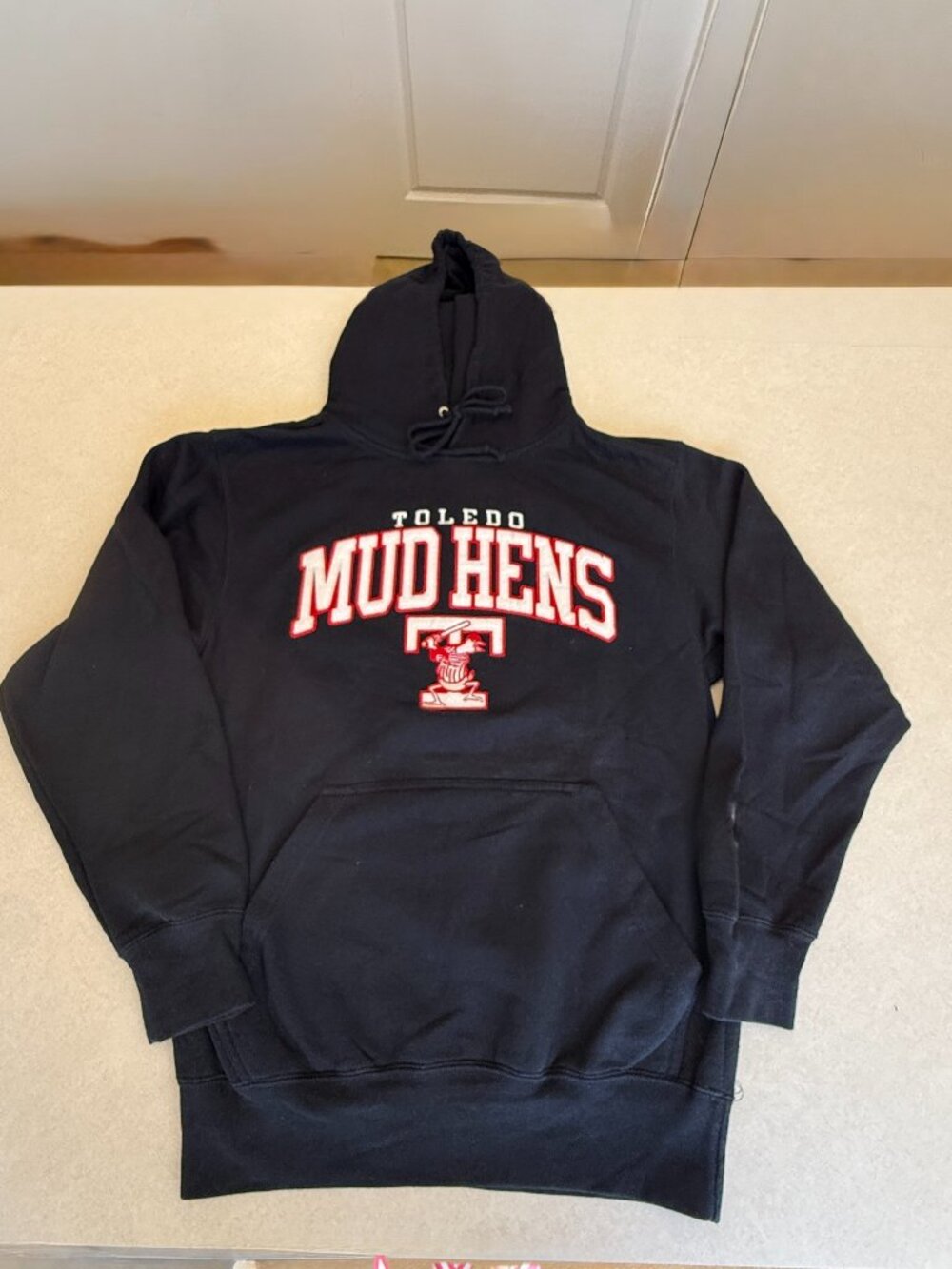 Toledo Mud Hens Unisex Black Felt Appliqué Graphic Hoodie Size M